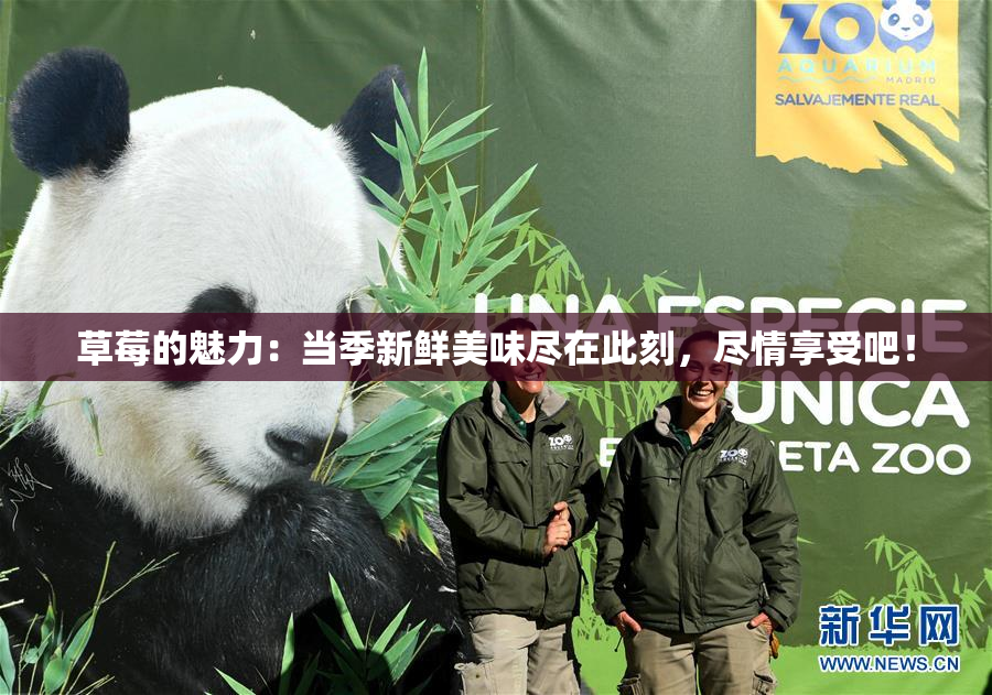 草莓的魅力：当季新鲜美味尽在此刻，尽情享受吧！