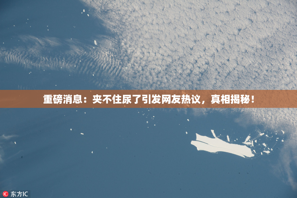 重磅消息：夹不住尿了引发网友热议，真相揭秘！