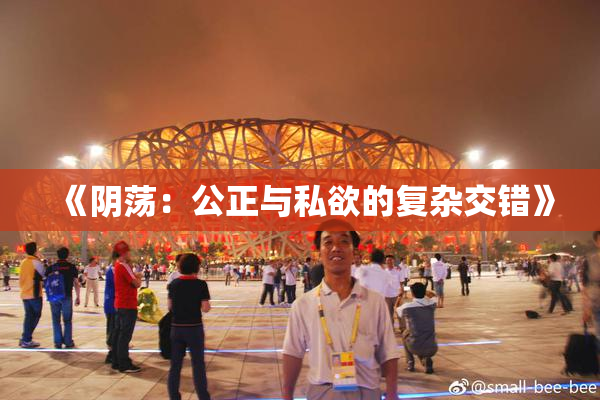 《阴荡：公正与私欲的复杂交错》