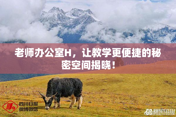 老师办公室H，让教学更便捷的秘密空间揭晓！