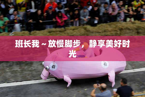 班长我～放慢脚步，静享美好时光