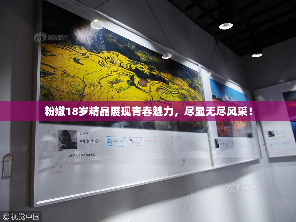 粉嫩18岁精品展现青春魅力，尽显无尽风采！