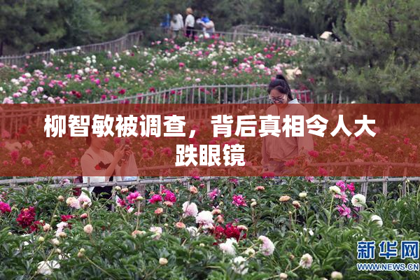 柳智敏被调查，背后真相令人大跌眼镜