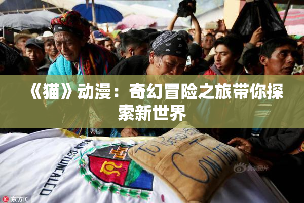 《猫》动漫：奇幻冒险之旅带你探索新世界
