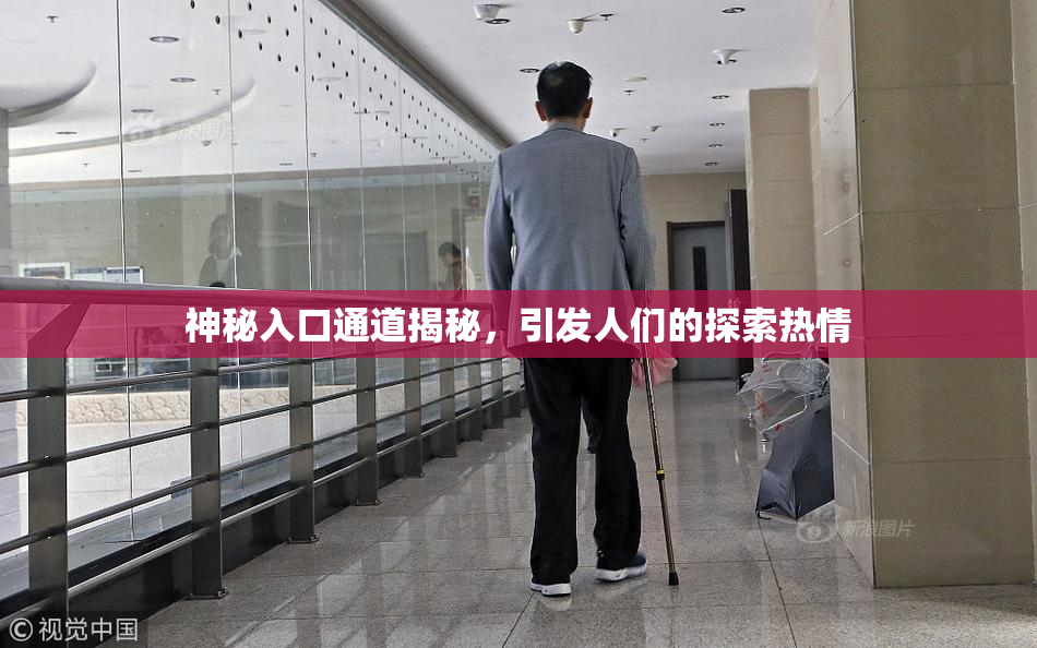 神秘入口通道揭秘，引发人们的探索热情