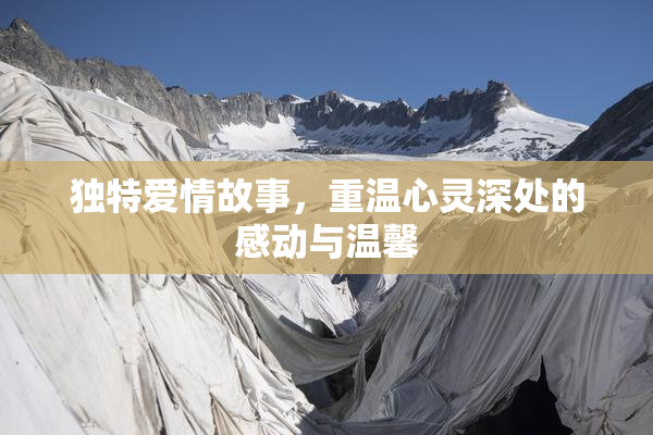 独特爱情故事，重温心灵深处的感动与温馨