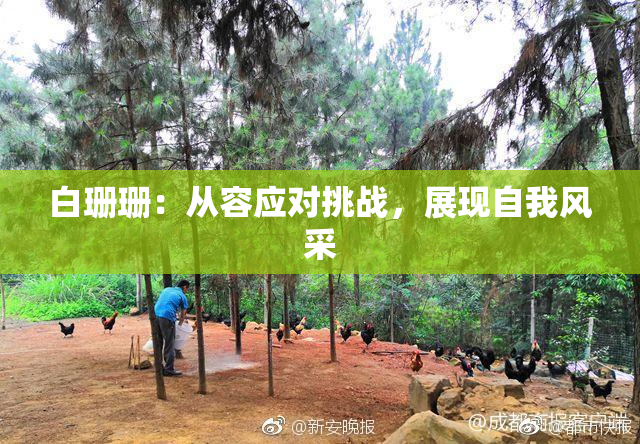 白珊珊：从容应对挑战，展现自我风采
