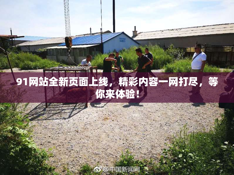 91网站全新页面上线，精彩内容一网打尽，等你来体验！