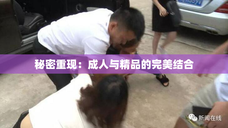 秘密重现：成人与精品的完美结合