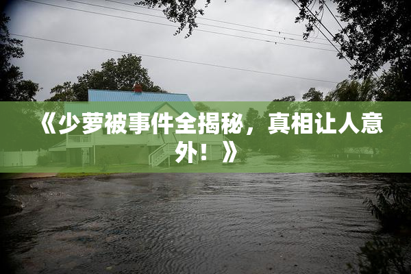 《少萝被事件全揭秘，真相让人意外！》
