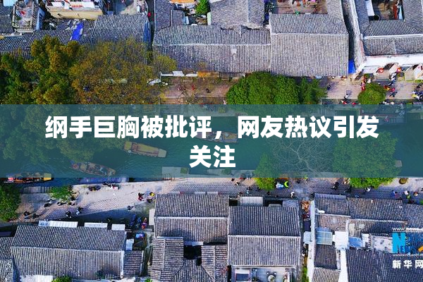 纲手巨胸被批评，网友热议引发关注