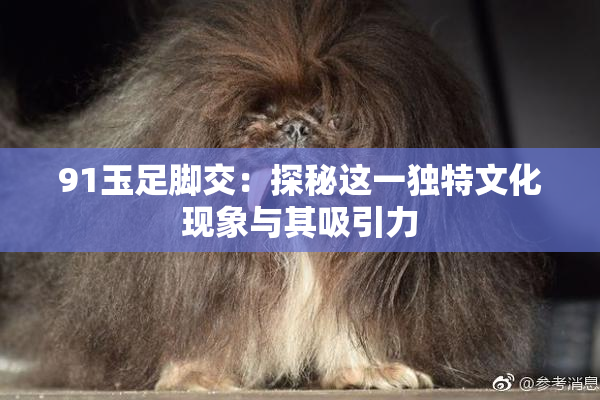 91玉足脚交：探秘这一独特文化现象与其吸引力
