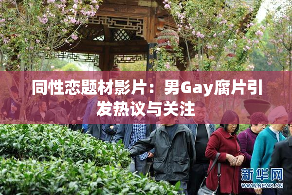 同性恋题材影片：男Gay腐片引发热议与关注