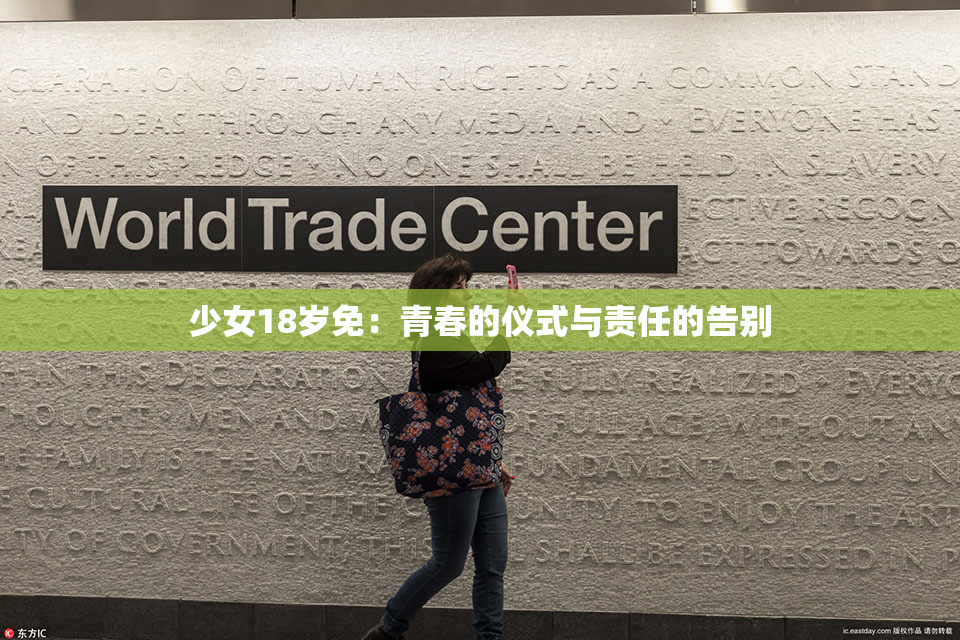 少女18岁免：青春的仪式与责任的告别