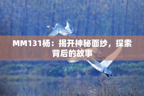 MM131杨：揭开神秘面纱，探索背后的故事