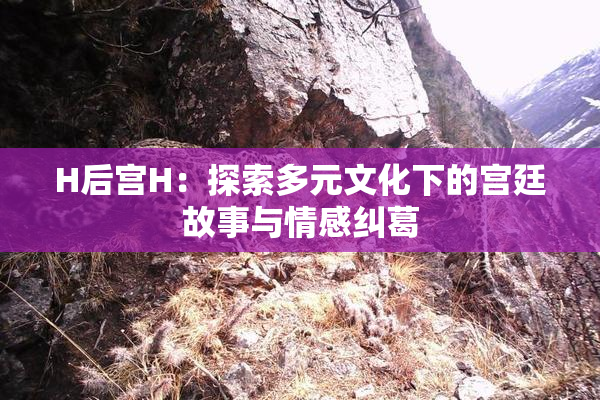 H后宫H：探索多元文化下的宫廷故事与情感纠葛