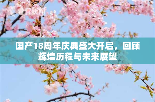国产18周年庆典盛大开启，回顾辉煌历程与未来展望
