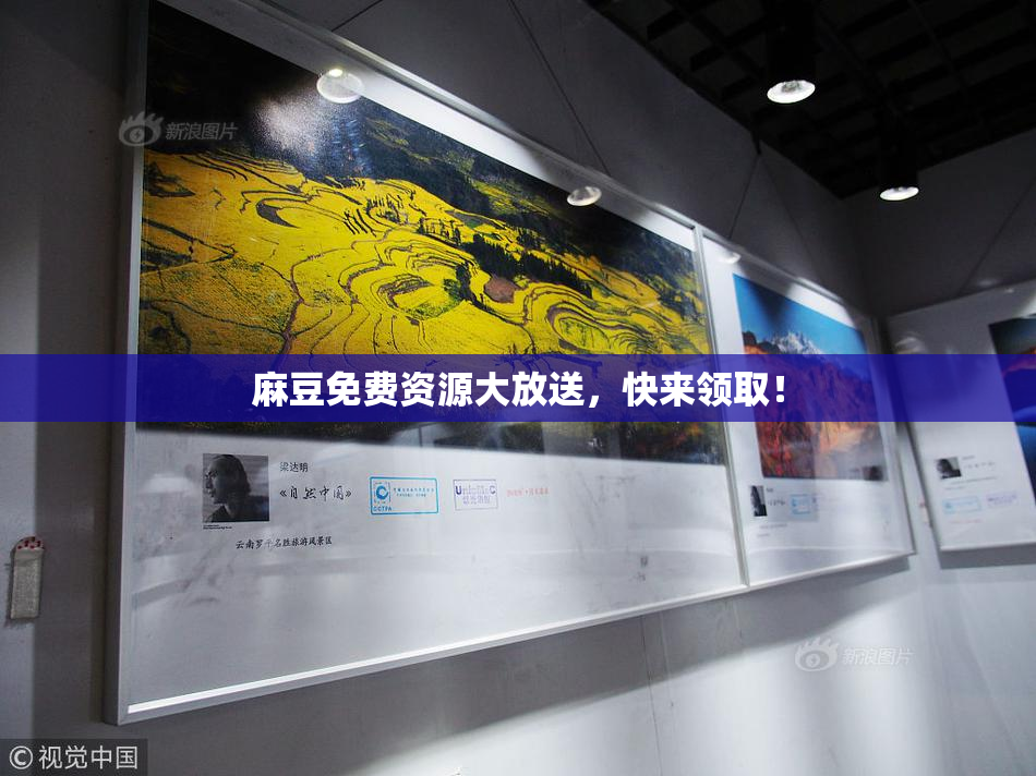 麻豆免费资源大放送，快来领取！