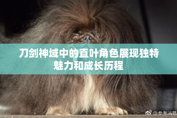 刀剑神域中的直叶角色展现独特魅力和成长历程