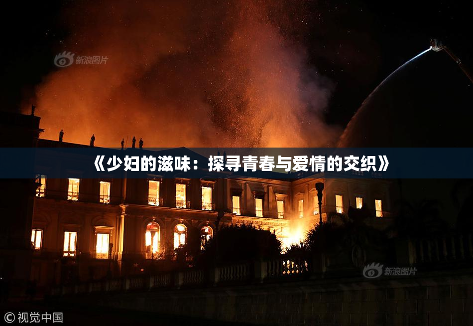 《少妇的滋味：探寻青春与爱情的交织》