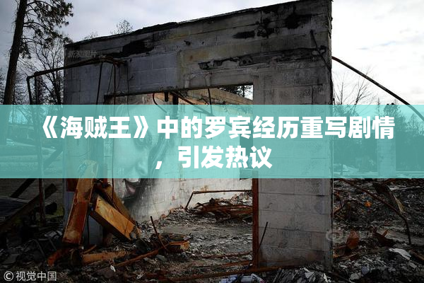 《海贼王》中的罗宾经历重写剧情，引发热议