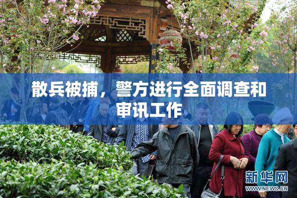 散兵被捕，警方进行全面调查和审讯工作
