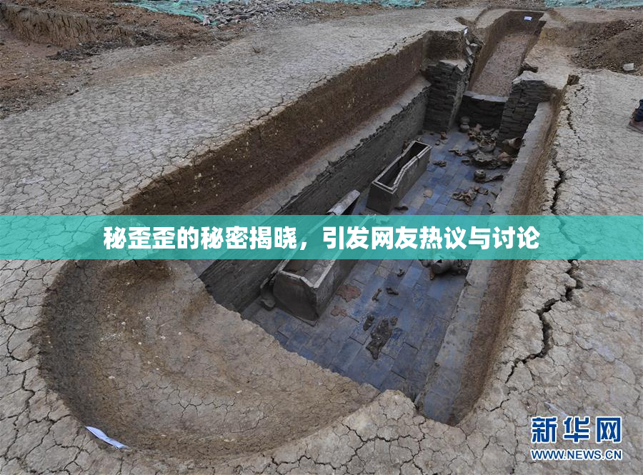 秘歪歪的秘密揭晓，引发网友热议与讨论