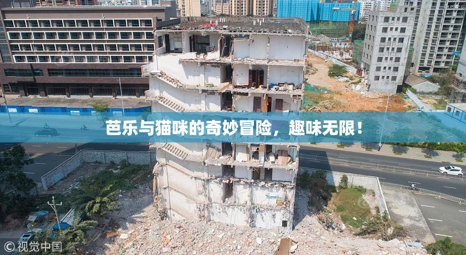 芭乐与猫咪的奇妙冒险，趣味无限！