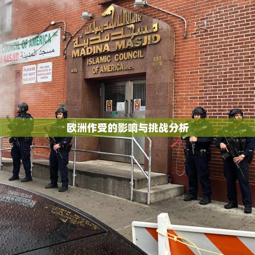 欧洲作受的影响与挑战分析