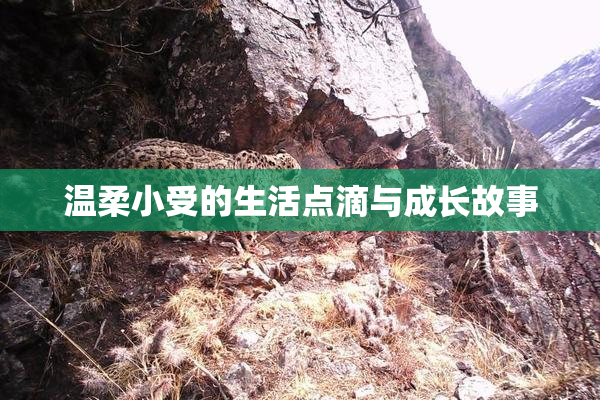 温柔小受的生活点滴与成长故事