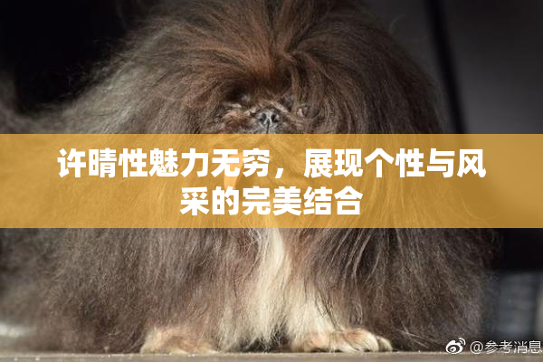 许晴性魅力无穷，展现个性与风采的完美结合