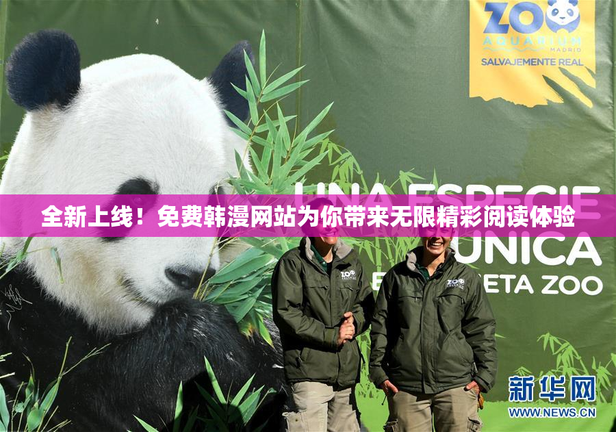全新上线！免费韩漫网站为你带来无限精彩阅读体验
