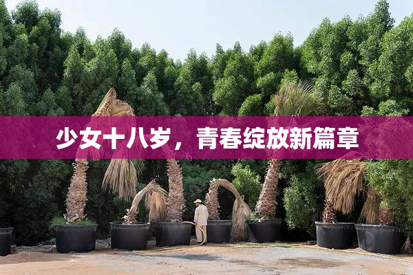 少女十八岁，青春绽放新篇章