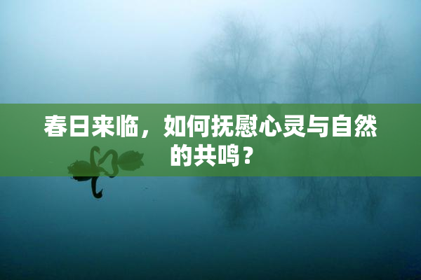 春日来临，如何抚慰心灵与自然的共鸣？