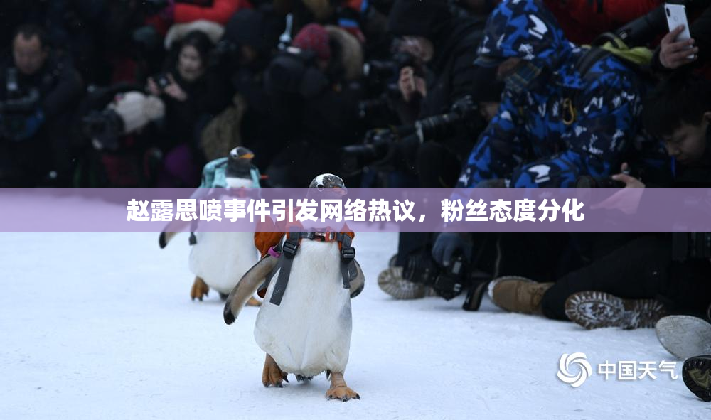 赵露思喷事件引发网络热议，粉丝态度分化
