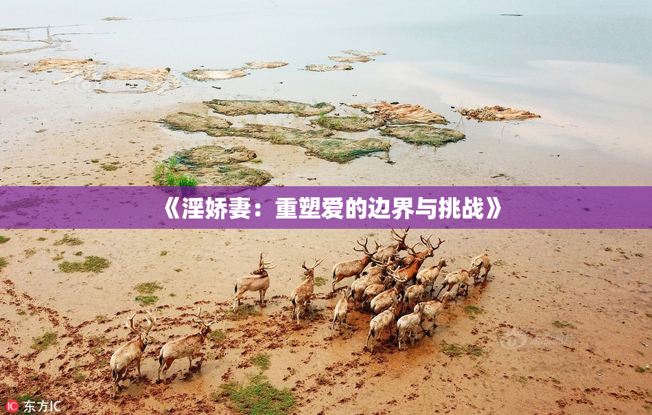 《淫娇妻：重塑爱的边界与挑战》