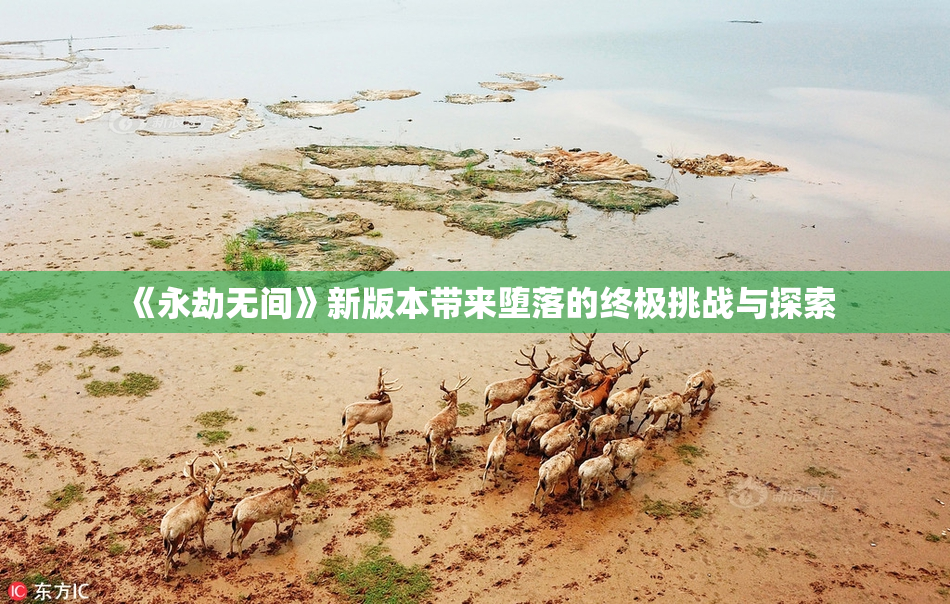 《永劫无间》新版本带来堕落的终极挑战与探索