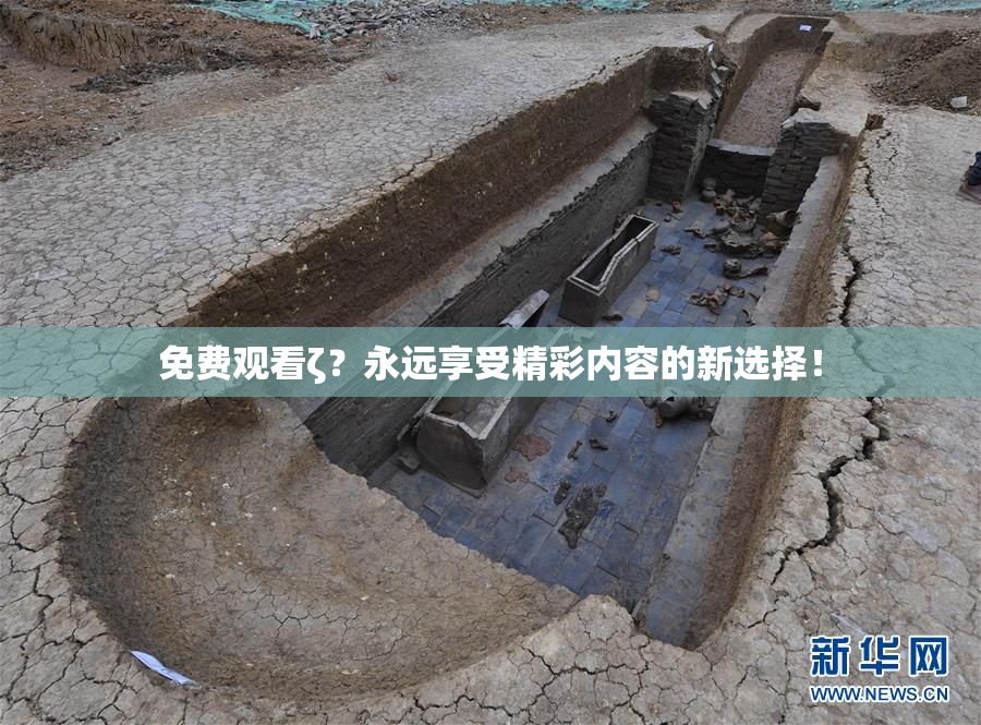 免费观看ζ？永远享受精彩内容的新选择！
