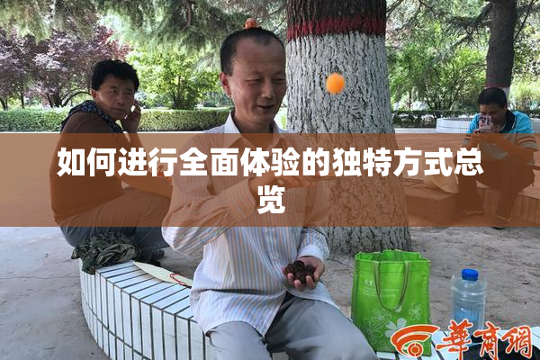 如何进行全面体验的独特方式总览