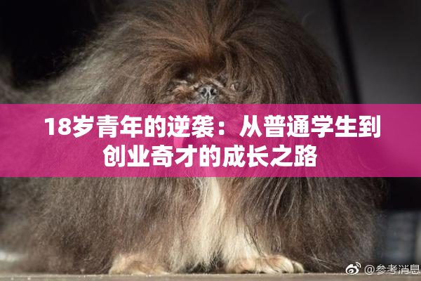 18岁青年的逆袭：从普通学生到创业奇才的成长之路