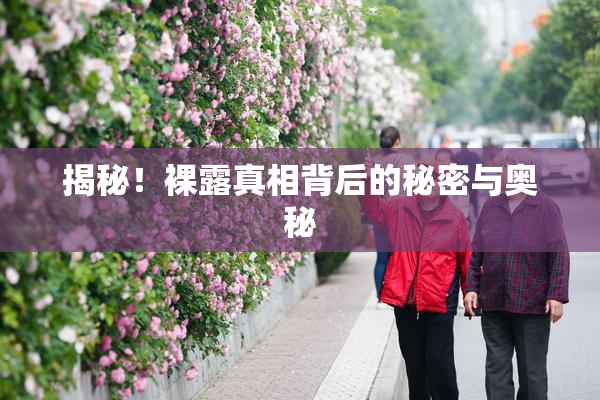 揭秘！裸露真相背后的秘密与奥秘