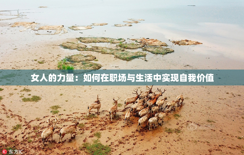 女人的力量：如何在职场与生活中实现自我价值
