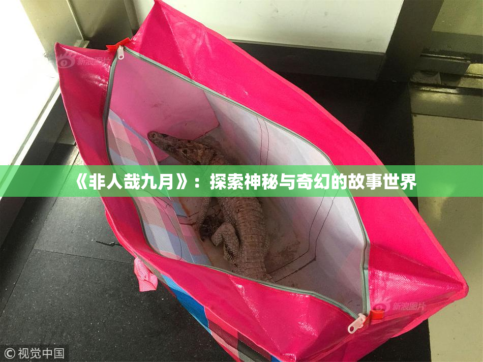 《非人哉九月》：探索神秘与奇幻的故事世界