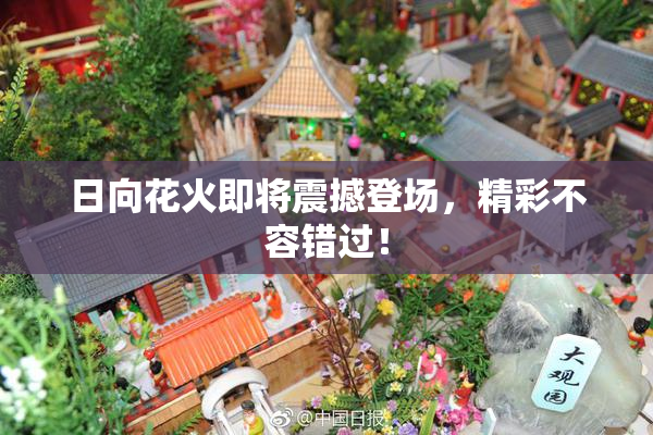 日向花火即将震撼登场，精彩不容错过！