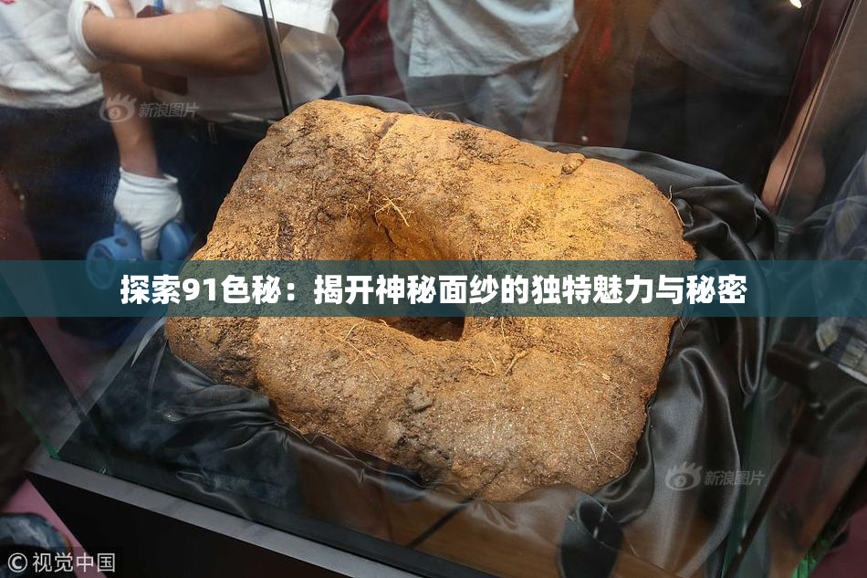 探索91色秘：揭开神秘面纱的独特魅力与秘密