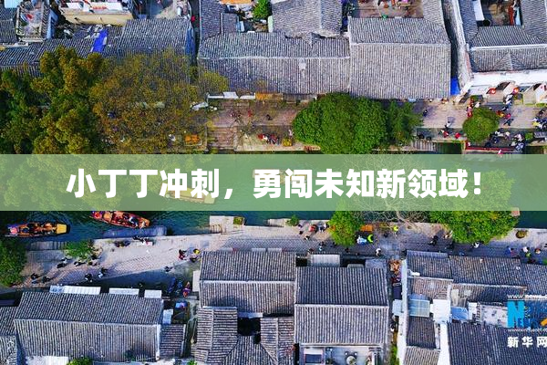 小丁丁冲刺，勇闯未知新领域！