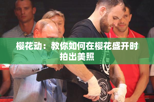 樱花动：教你如何在樱花盛开时拍出美照