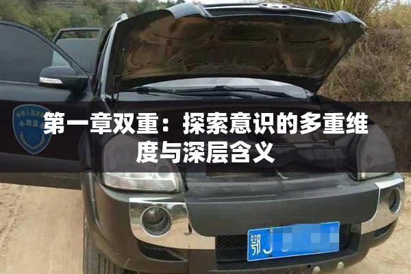 第一章双重：探索意识的多重维度与深层含义