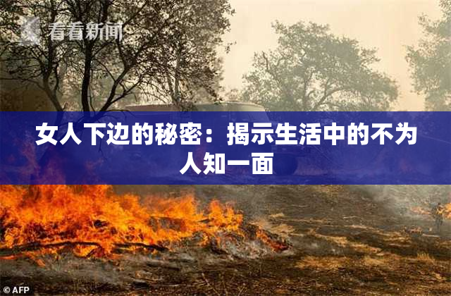 女人下边的秘密：揭示生活中的不为人知一面