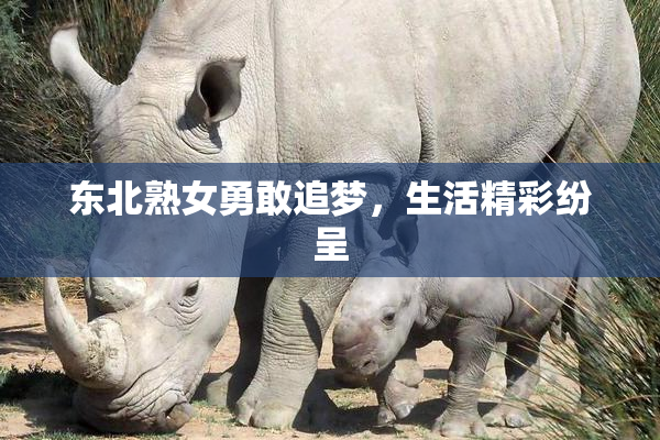 东北熟女勇敢追梦，生活精彩纷呈